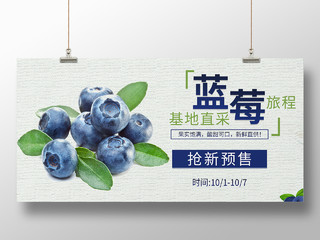 纸质背景组简约清新大气蓝莓水果展板蓝莓包装